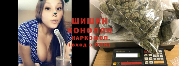молекула духа Семикаракорск