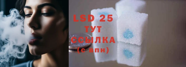 ПСИЛОЦИБИНОВЫЕ ГРИБЫ Семилуки