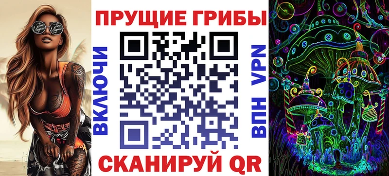 закладки Власиха OMG ссылка Псилоцибиновые грибы Psilocybine cubensis